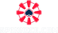 SpinNice Logo White