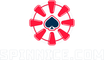 SpinNice Logo White